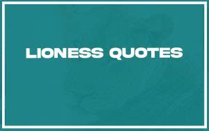 lioness quotes|115 Best Lioness Quotes (with Commentary)